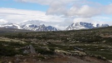 Parc National de Dovrefjell
